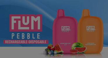 Flum Pebble Disposable