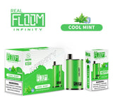 Floom Infinity Disposable | 4000 Puffs | 10mL Cool Mint with Packaging
