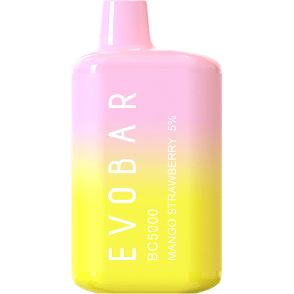 Evo Bar Disposable ET/BC5000 | 5000 Puff | 13mL | 5% Mango Strawberry